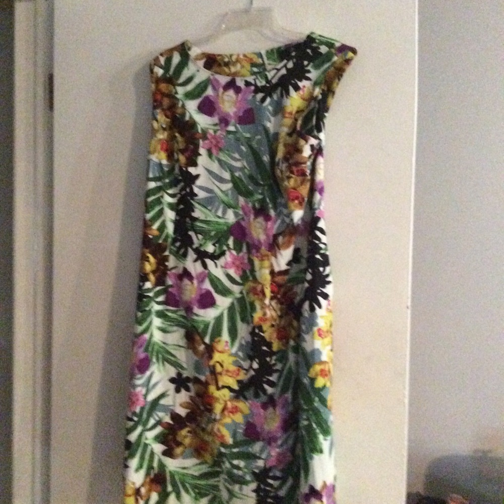 Plus size dresses - Picture 2 of 8